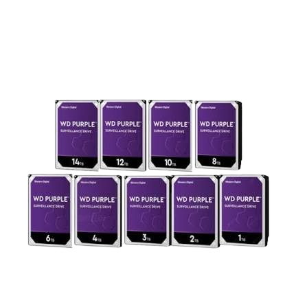 SecureStore 1TB Surveillance HDD